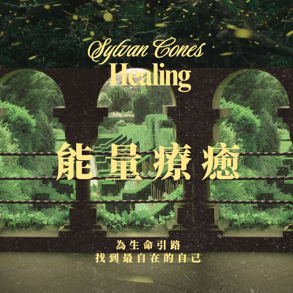 能量挖掘 ｜１對１線上 60分鐘