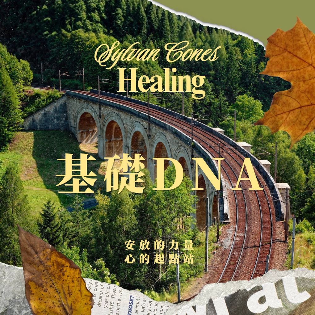 松果與樹｜希塔療癒 初階認證課程 ThetaHealing® basic