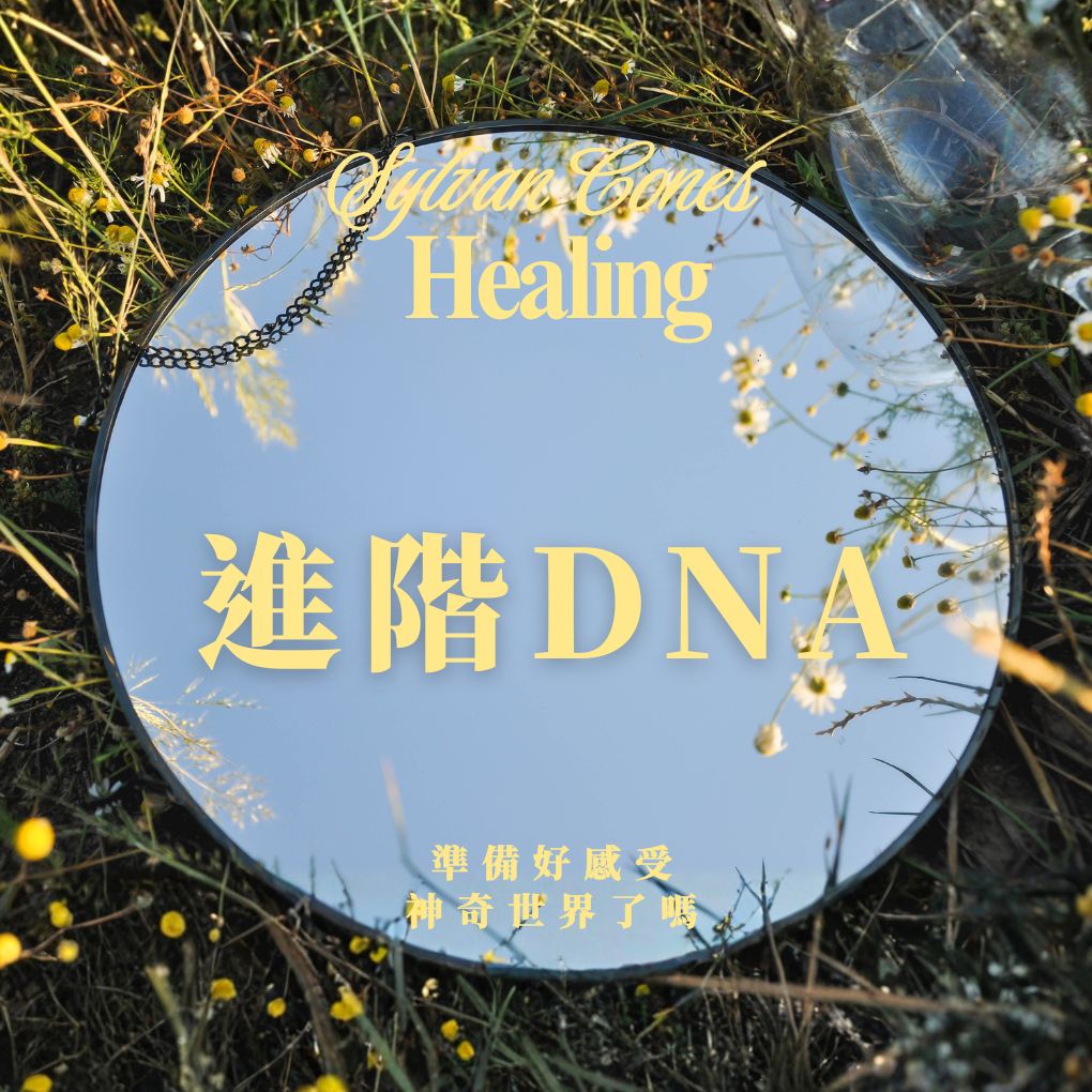松果與樹｜希塔療癒 進階認證課程 ThetaHealing® advanced
